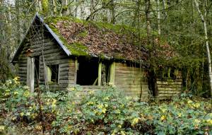 4156759926_26aa1c1c16_o